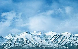 替您掌控全局的云呼官网