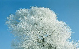 专业技术保障的手机号测压